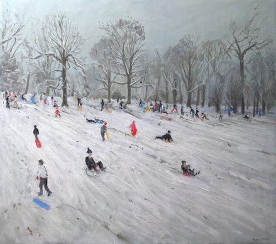 Tobogganers, Darley Park by Andrew Macara